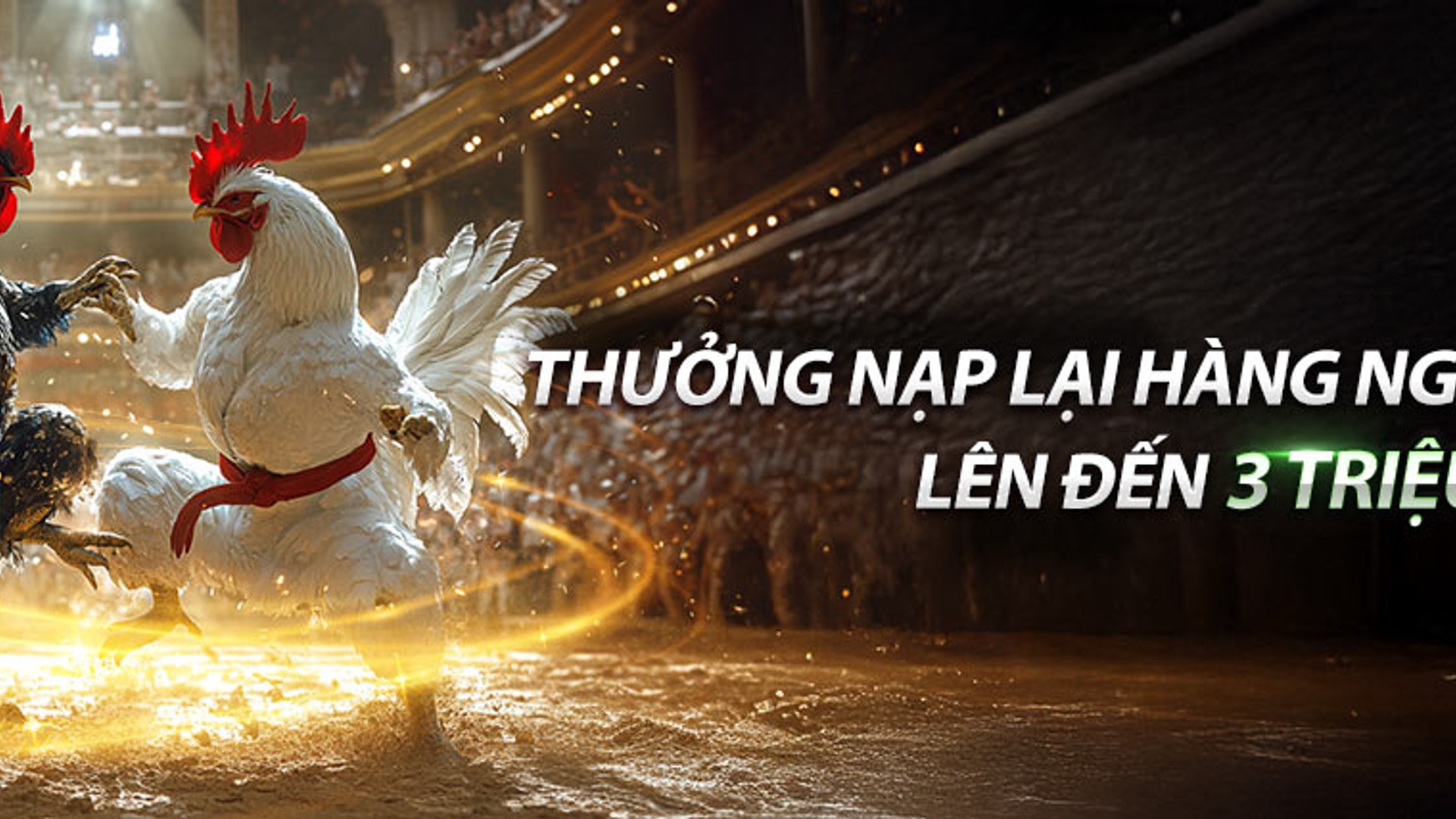 Hình ảnh tiền hoàn trả hàng ngày tại 789P